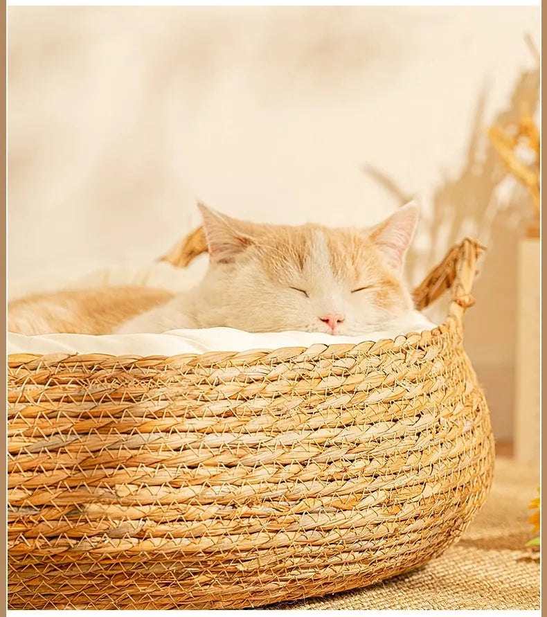 Cozy Woven Cat Bed with Soft Plush Cushion